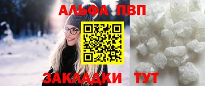 прущие крисы Кингисепп