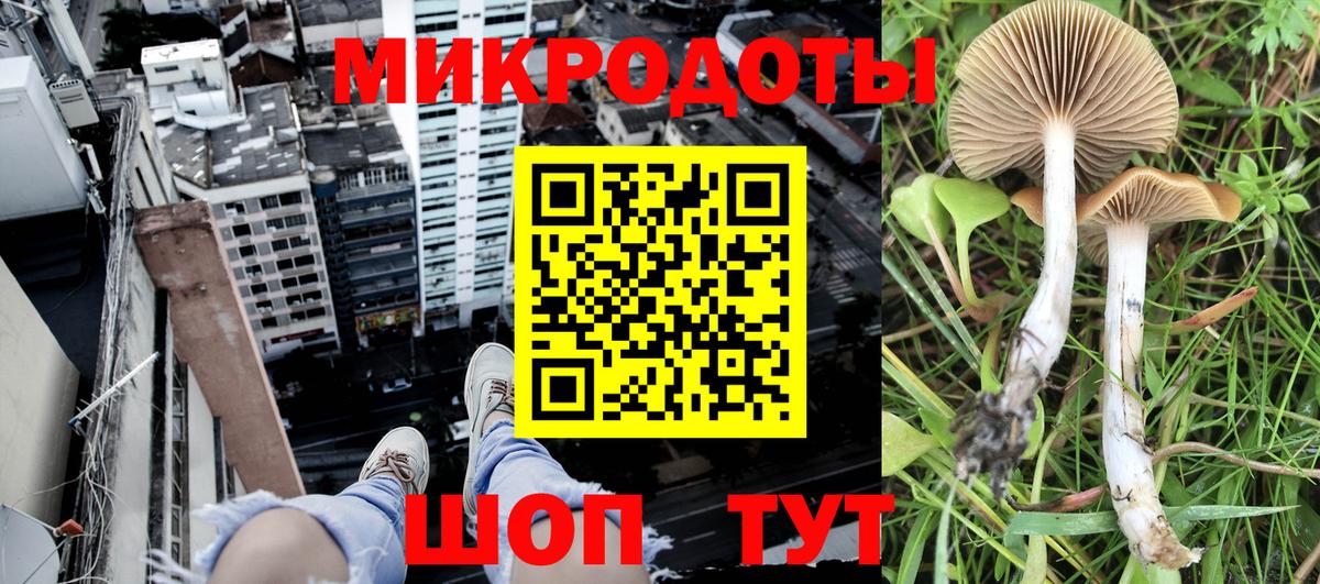 Галлюциногенные грибы MAGIC MUSHROOMS Кузнецк