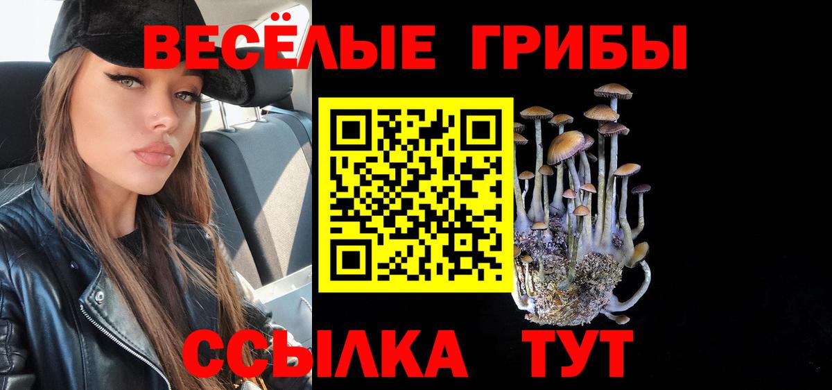 Кузнецк  Галлюциногенные грибы ЛСД  Вход с VPN 